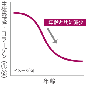 Point2_グラフ